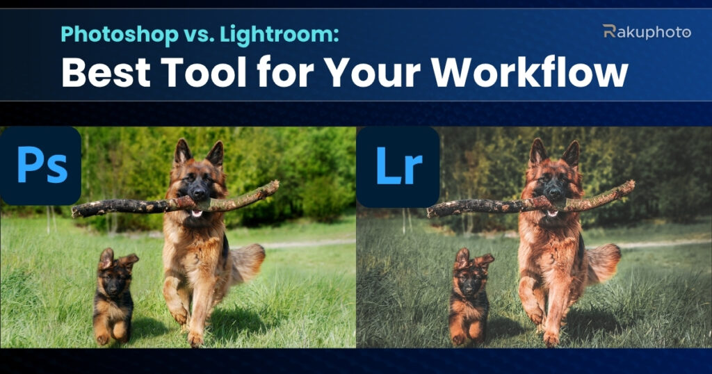 Photoshop or Lightroom