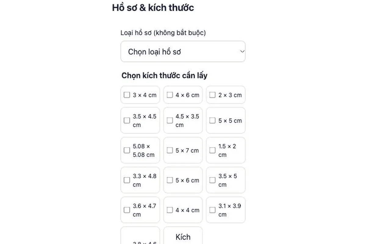 Giao diện chọn kích thước ảnh thẻ trên công cụ Rakuphoto